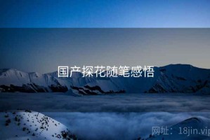 国产探花随笔感悟