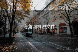 海角网机密文件