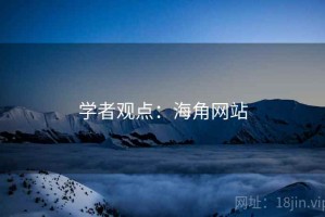 学者观点：海角网站