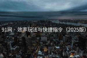 91网 · 效率玩法与快捷指令（2025版）