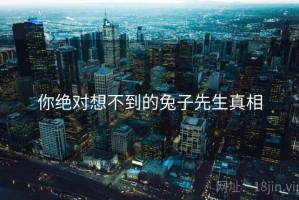 你绝对想不到的兔子先生真相 你绝对想不到的兔子先生真相