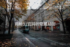 揭秘91官网的隐藏秘密 揭秘91官网的隐藏秘密