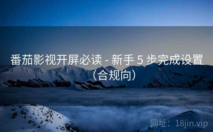 番茄影视开屏必读 - 新手 5 步完成设置（合规向）