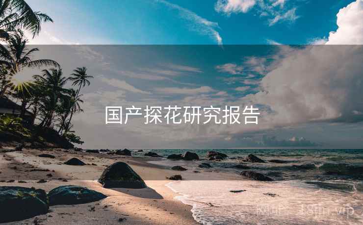 国产探花研究报告