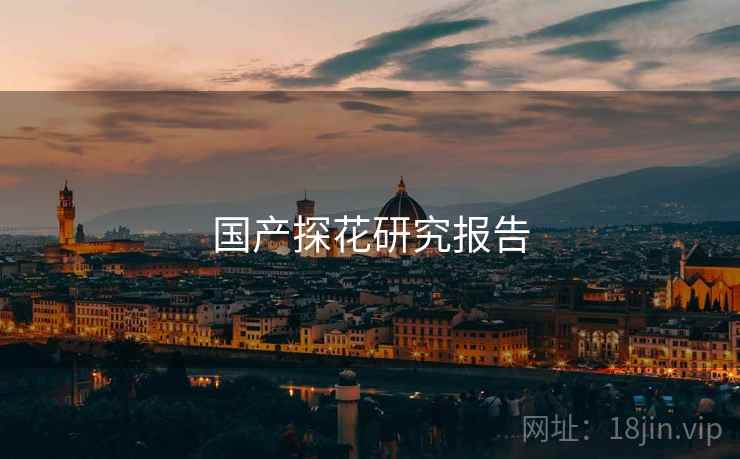 国产探花研究报告