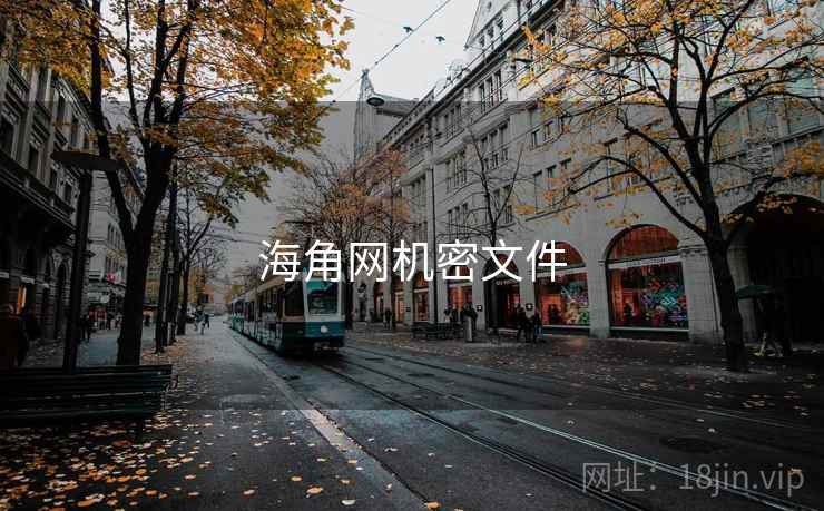 海角网机密文件
