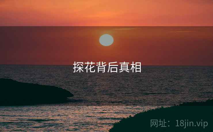 探花背后真相